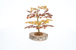 Load image into Gallery viewer, #8 Tree 15cm, Oak design, two colour
