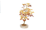 Load image into Gallery viewer, #11 Tree 23cm, Alder design
